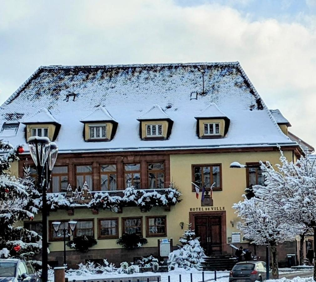 Appartement Chez Mar'Tine Niederbronn-les-Bains Zewnętrze zdjęcie