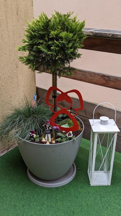 Appartement Chez Mar'Tine Niederbronn-les-Bains Zewnętrze zdjęcie